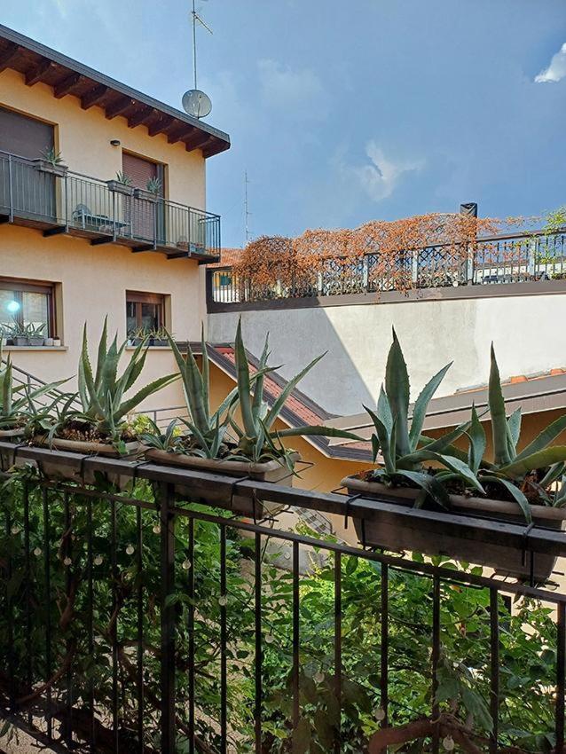 Elegant Stylish House With Garden & Ac Apartment Milan